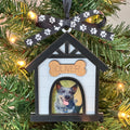 Dog House