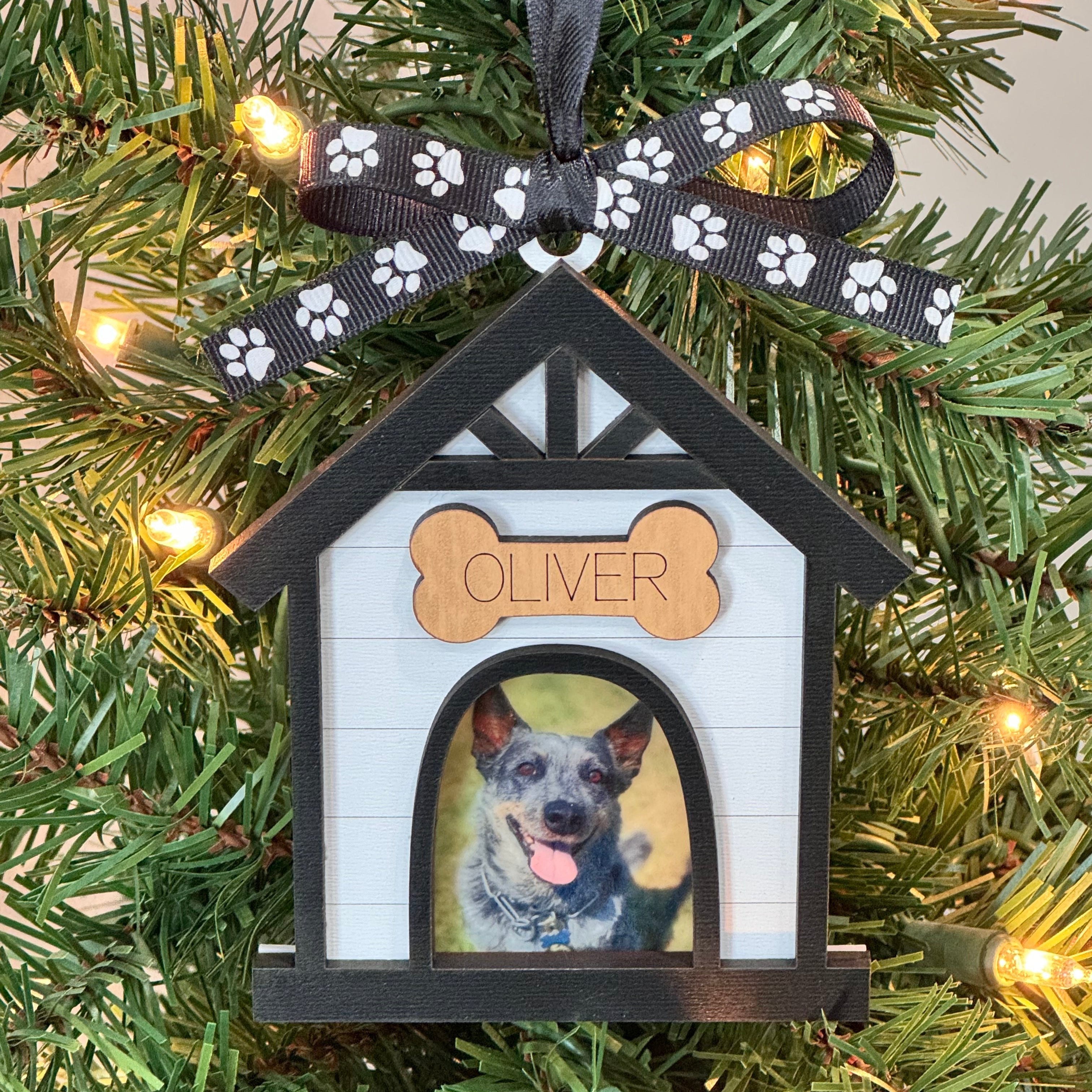 Dog House