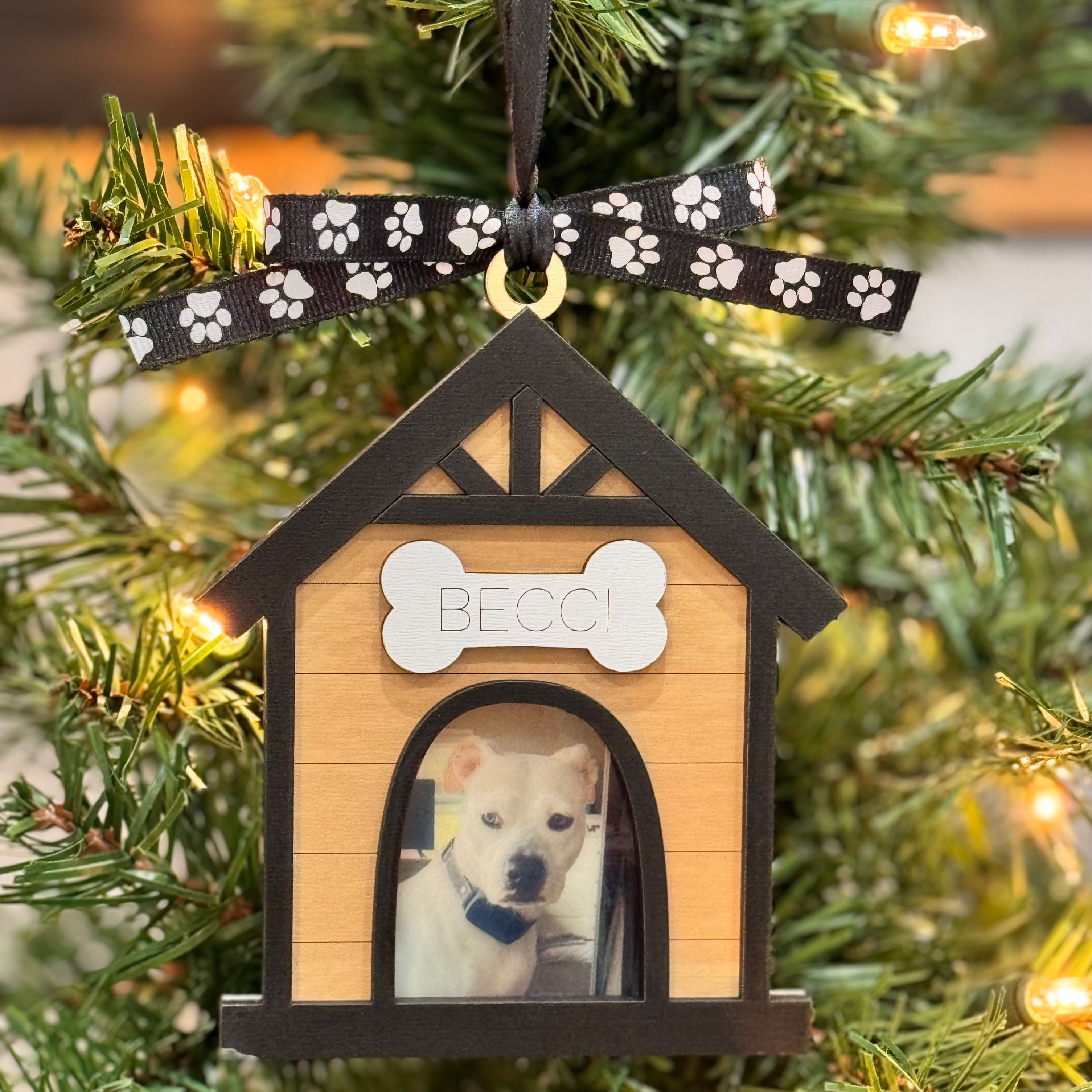 Dog House