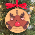 Christmas Countdown - Rudolph the Reindeer