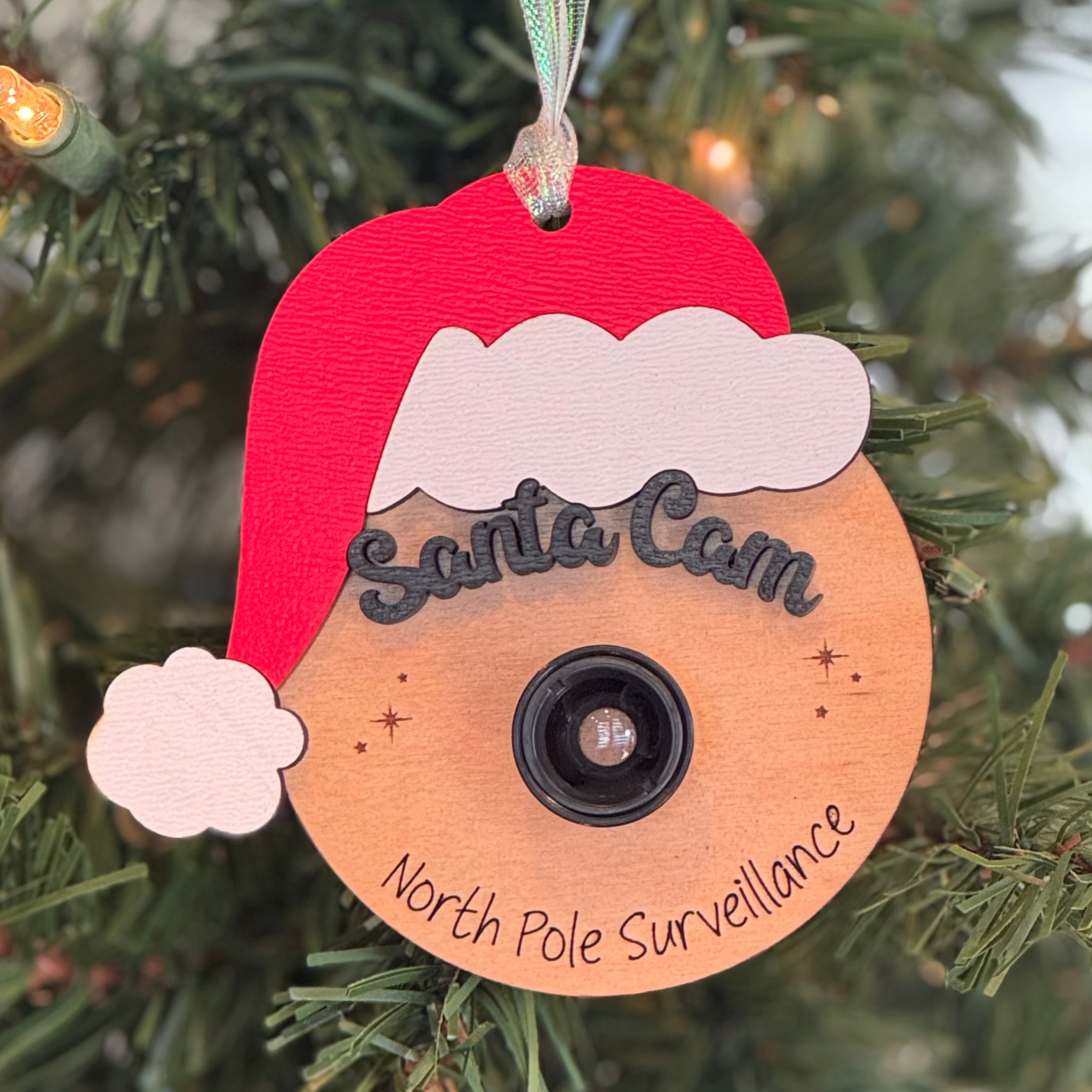 Santa Cam Surveillance